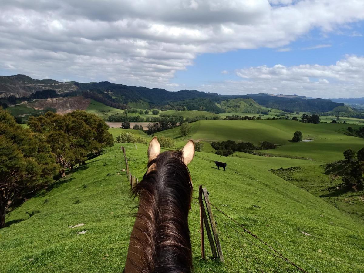 Renagour Cottage - Farmstay With Hot Tub! Whanganui Εξωτερικό φωτογραφία