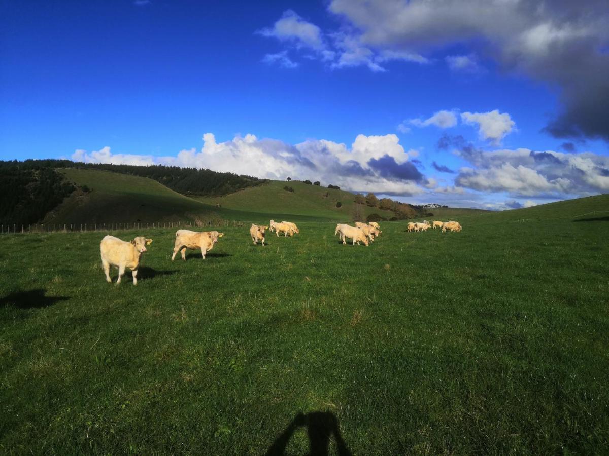 Renagour Cottage - Farmstay With Hot Tub! Whanganui Εξωτερικό φωτογραφία